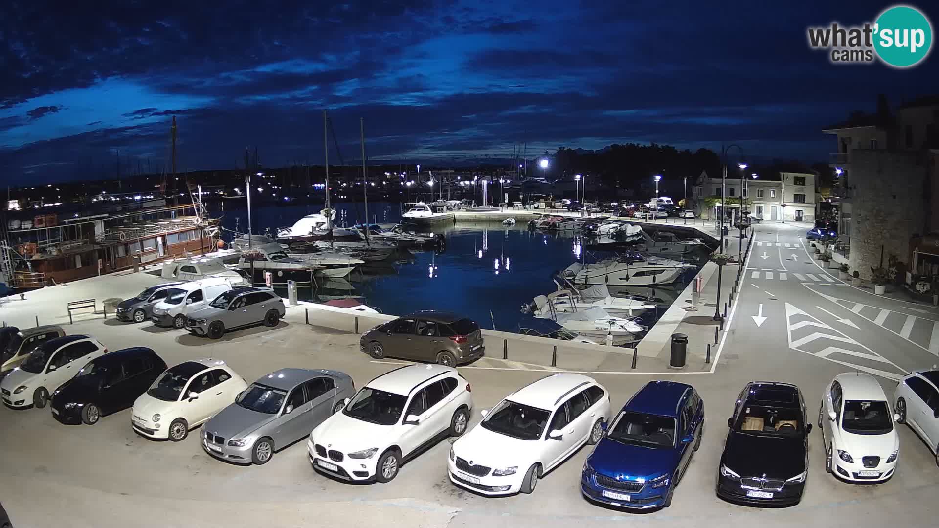 Novigrad | Porporela marina