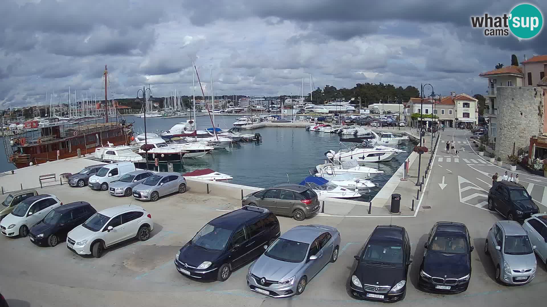 Novigrad | Porporela marina