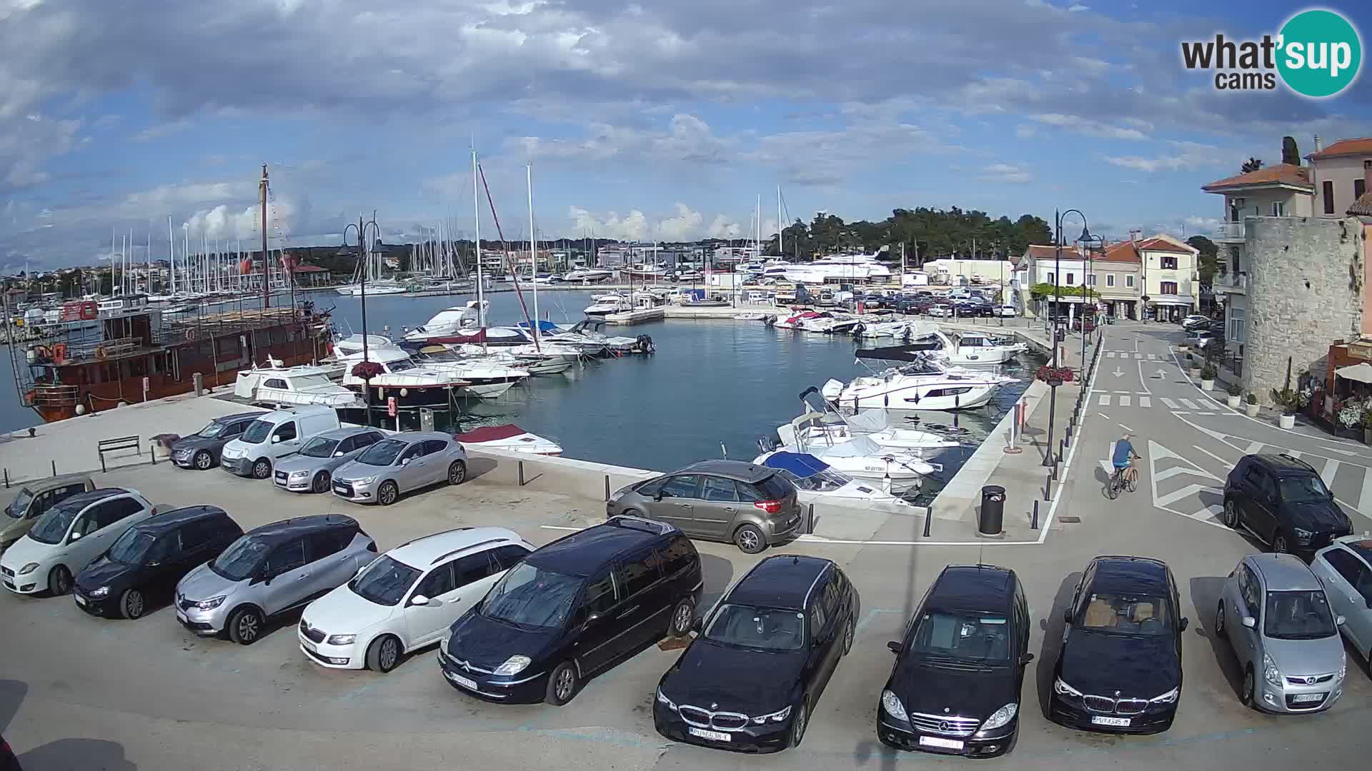 Novigrad | Porporela marina