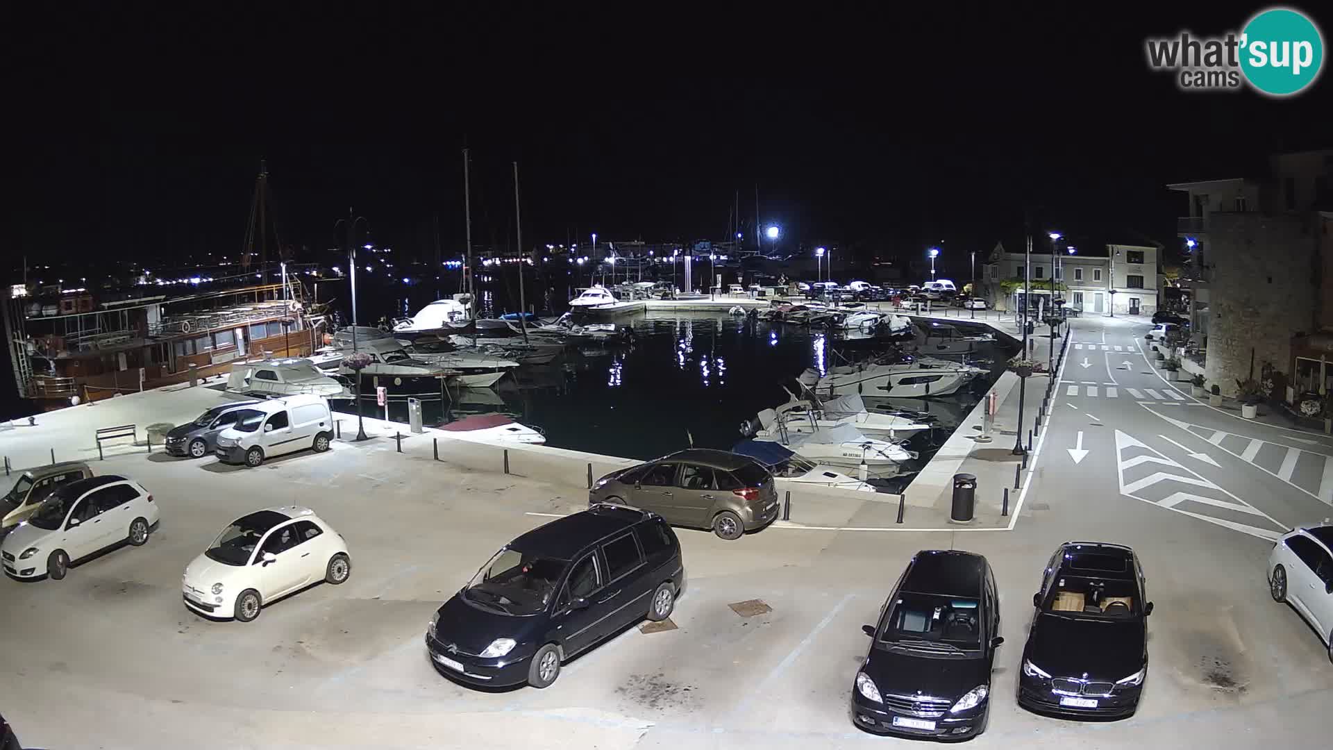 Novigrad | Porporela marina