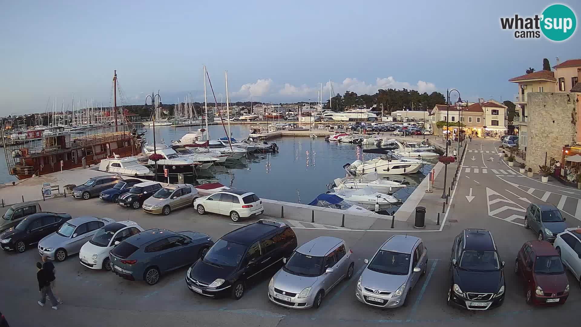 Novigrad | Porporela marina