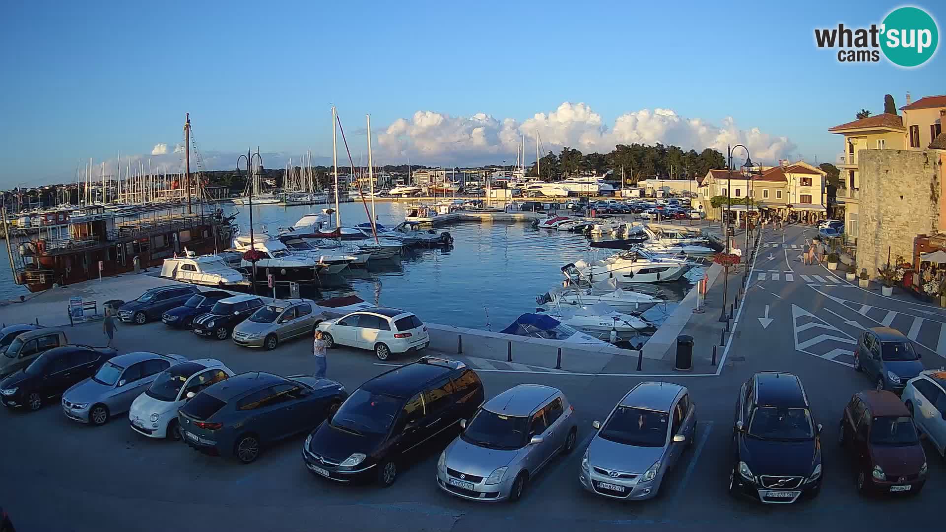 Novigrad | Porporela marina