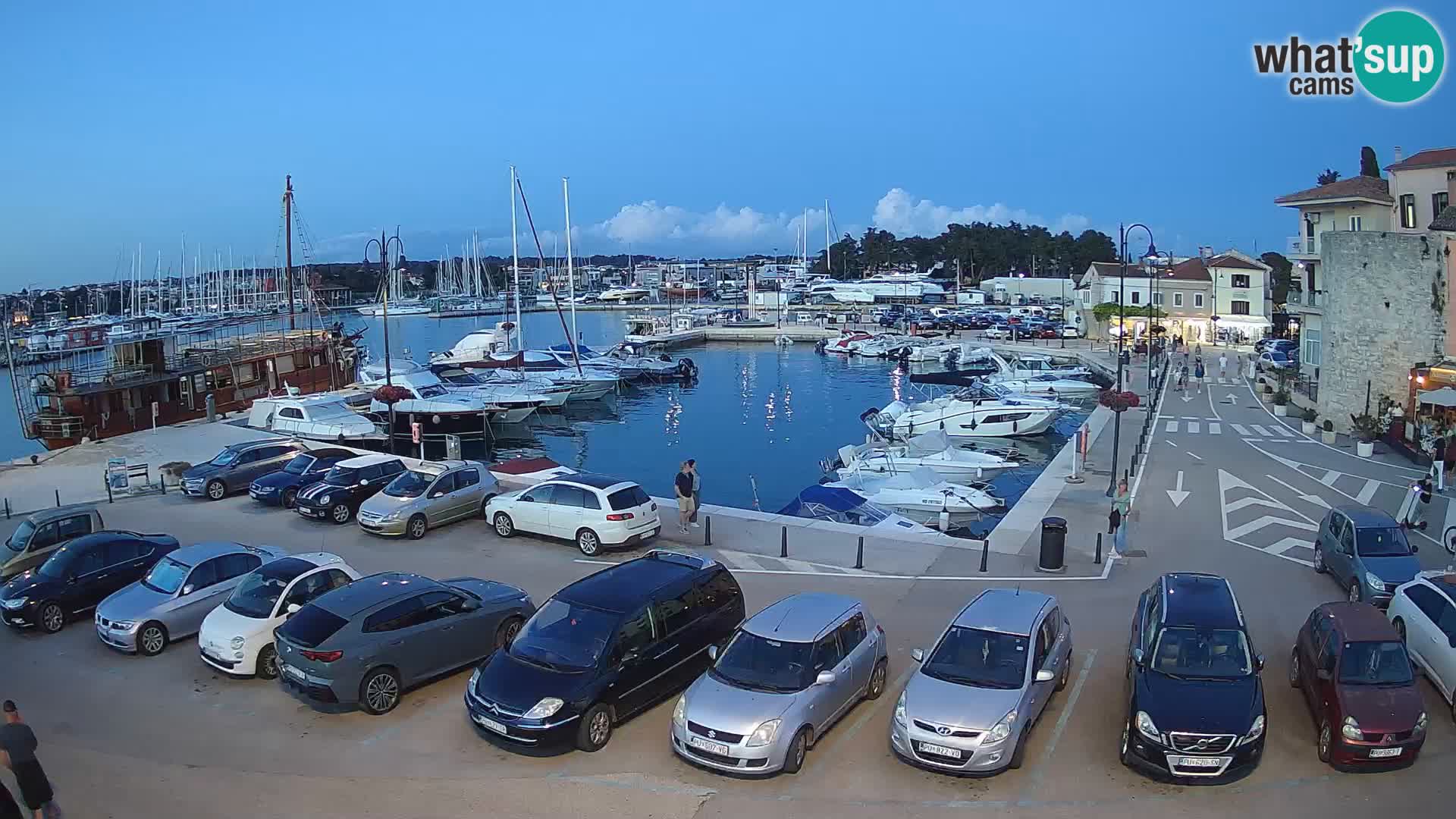 Novigrad | Porporela marina