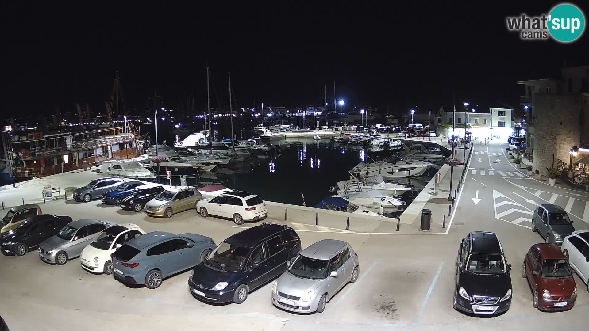 Novigrad | Porporela marina