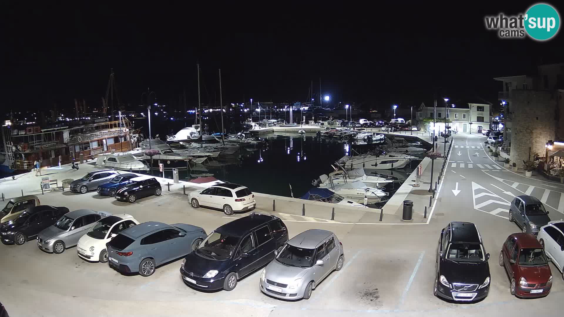 Novigrad | Porporela marina