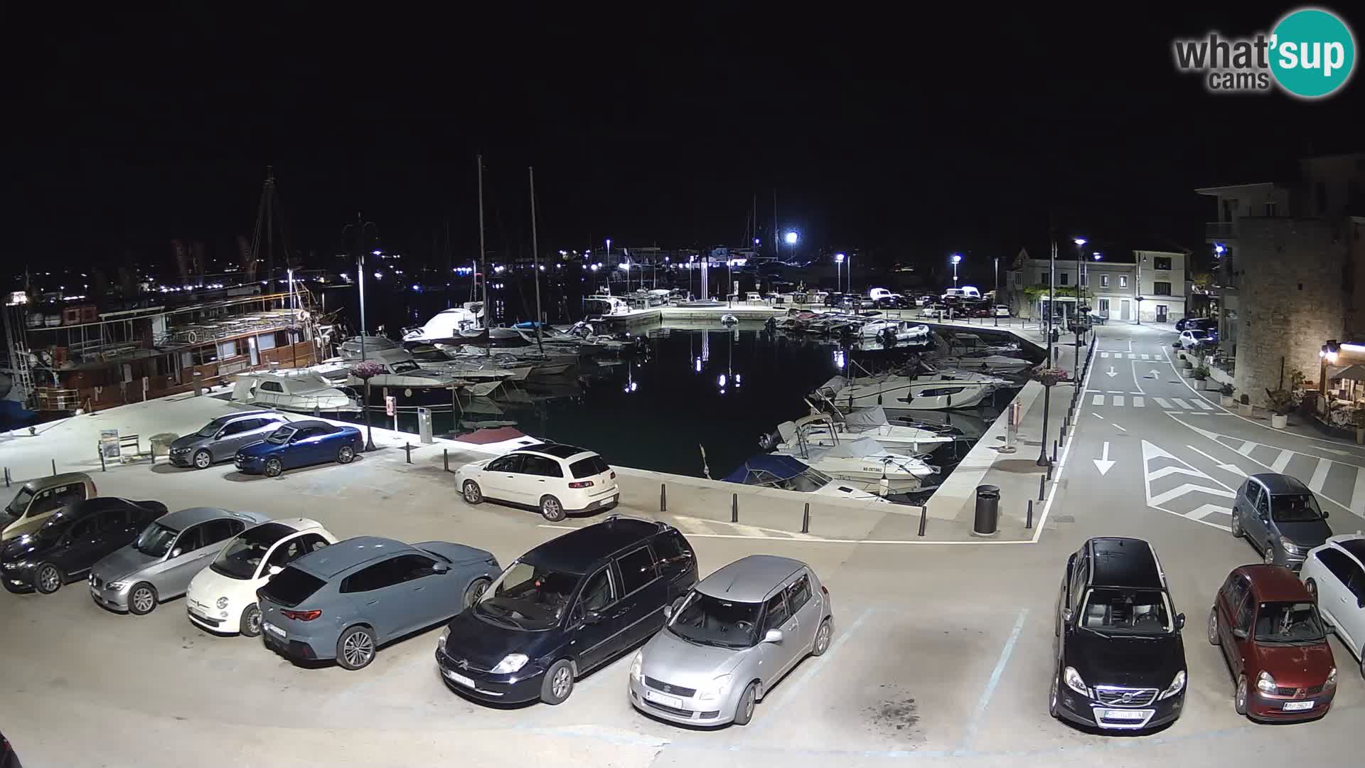 Novigrad | Porporela marina