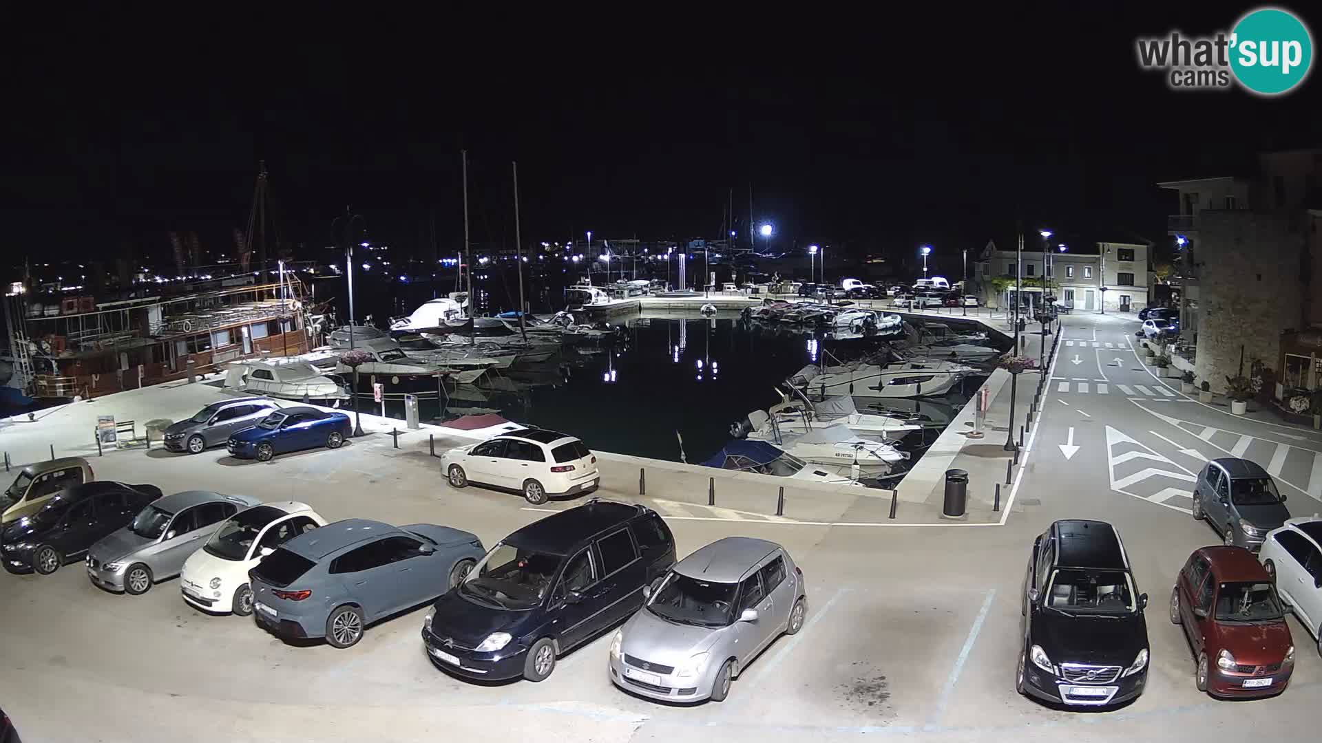 Novigrad | Porporela marina