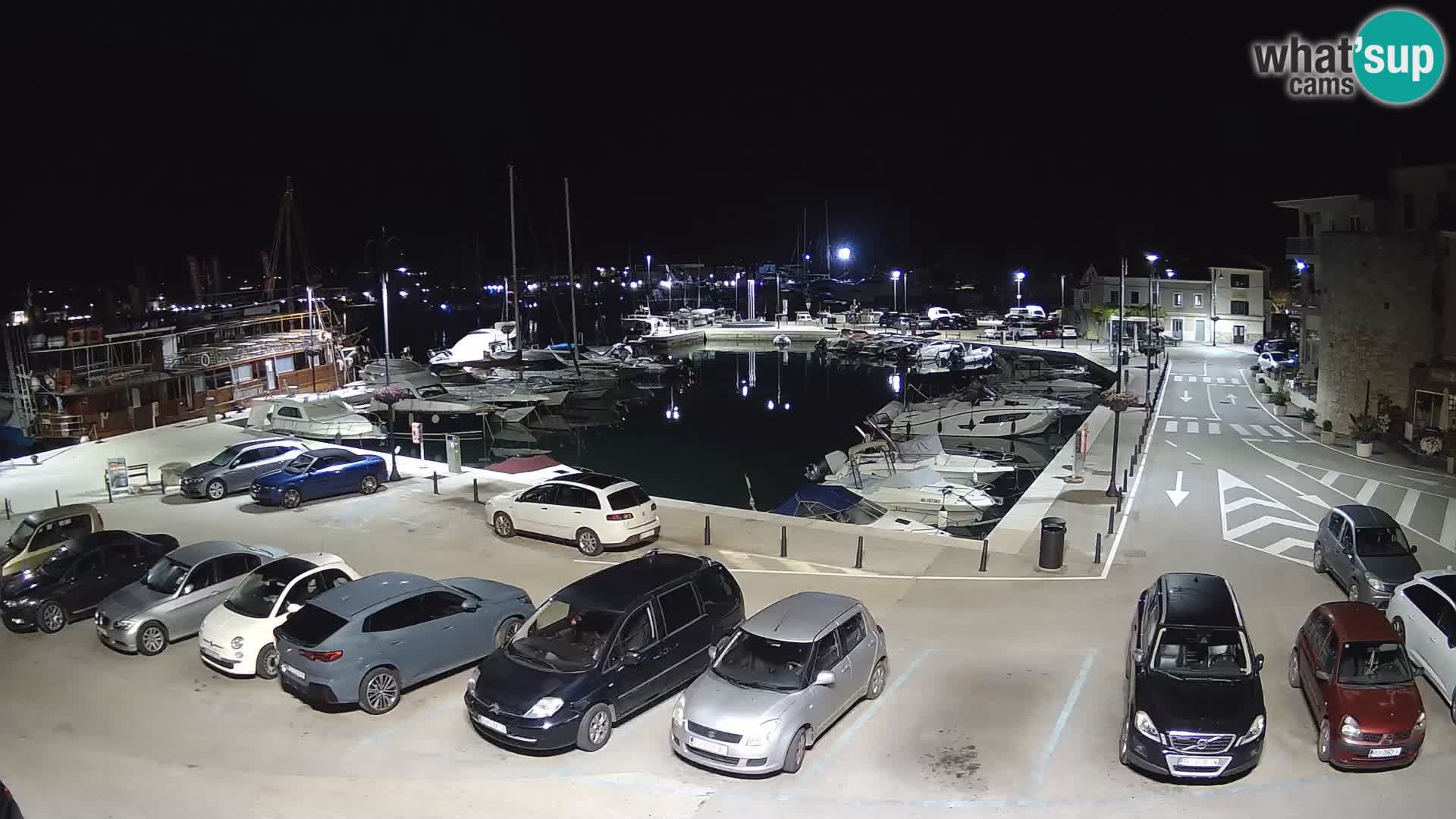 Novigrad | Porporela marina