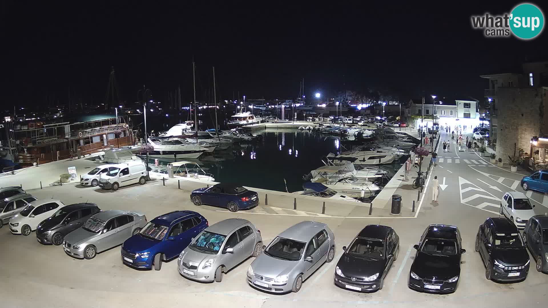 Novigrad | Porporela marina