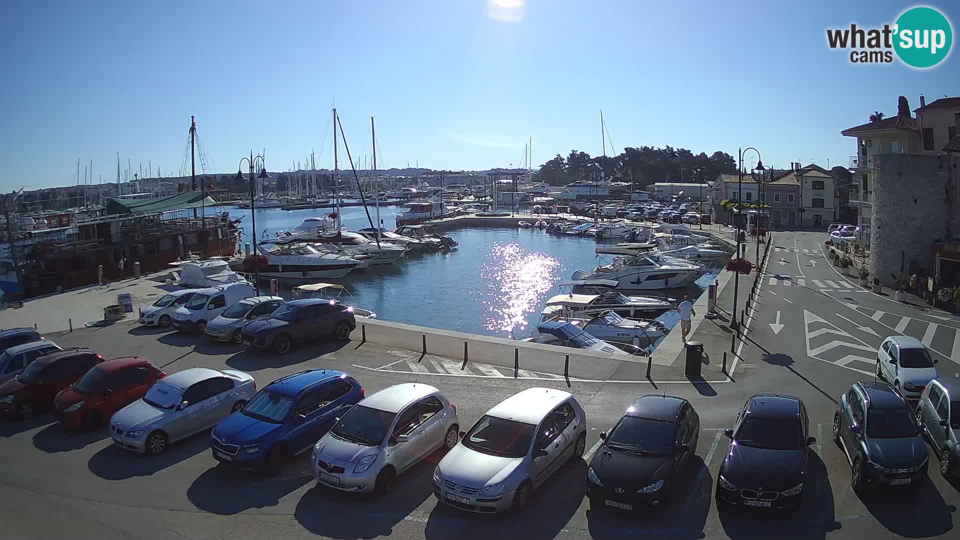 Novigrad | Porporela marina