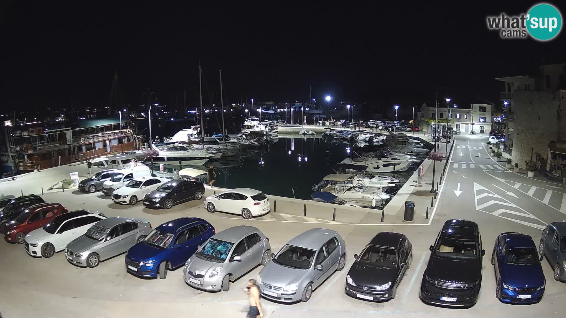 Novigrad | Porporela marina