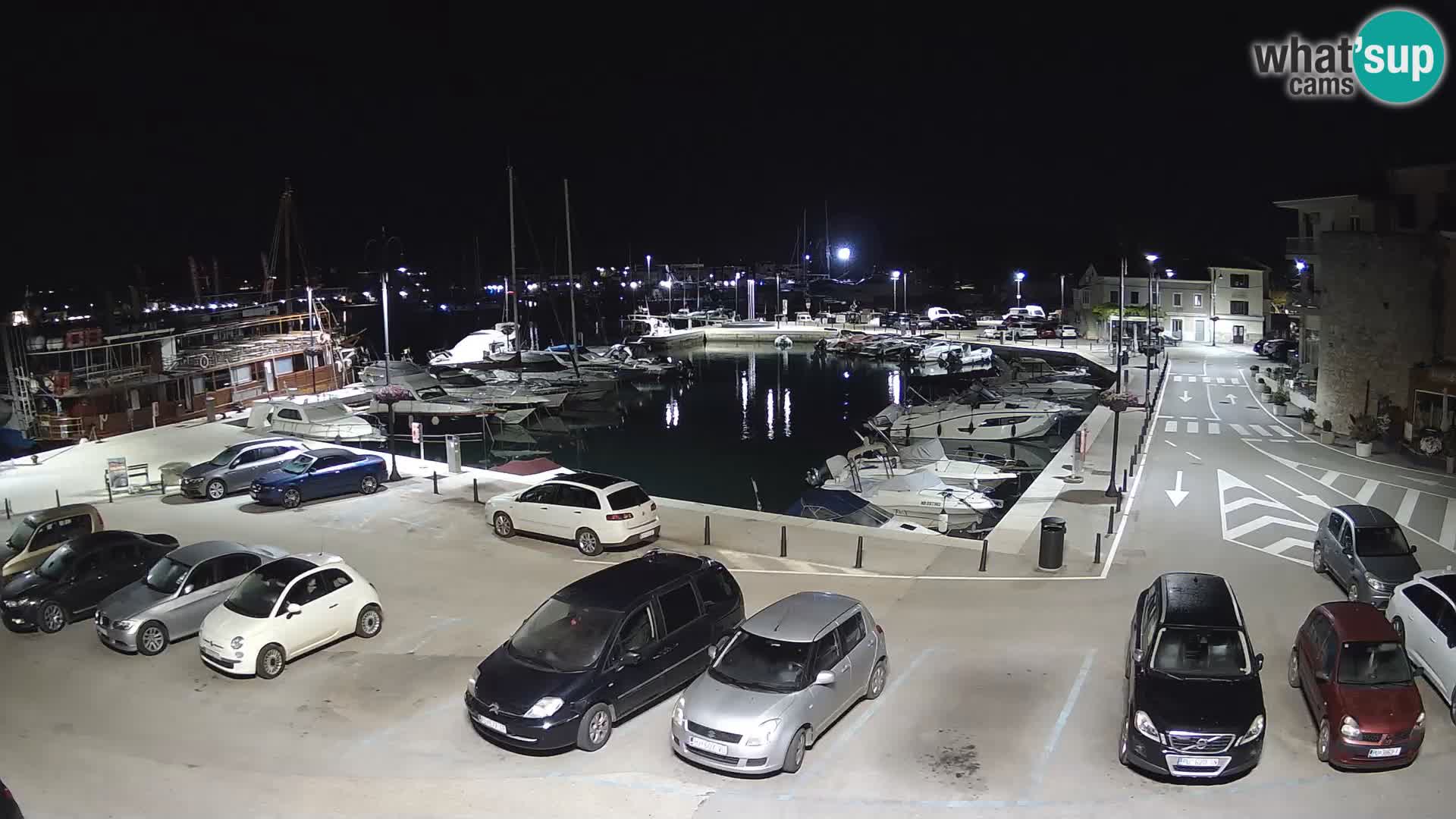 Novigrad | Porporela marina