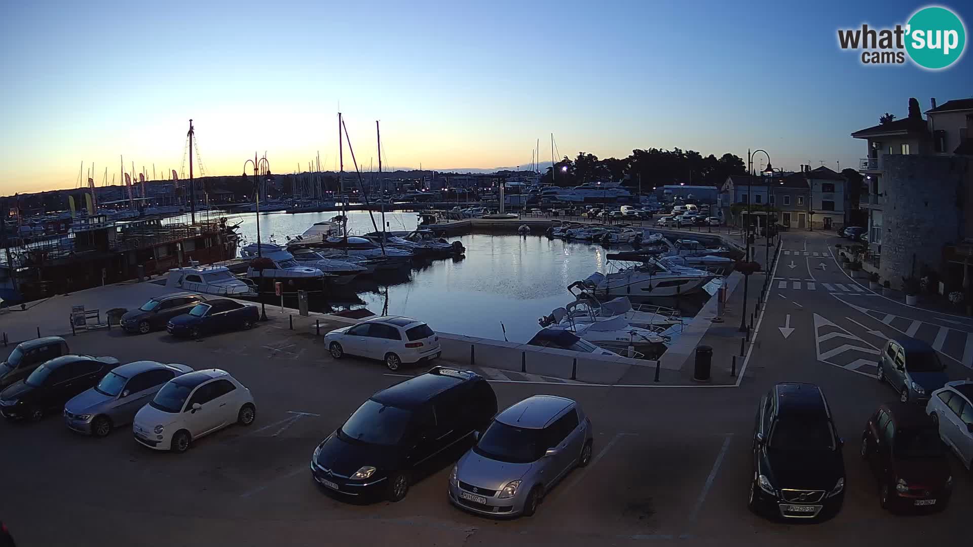 Novigrad | Porporela marina
