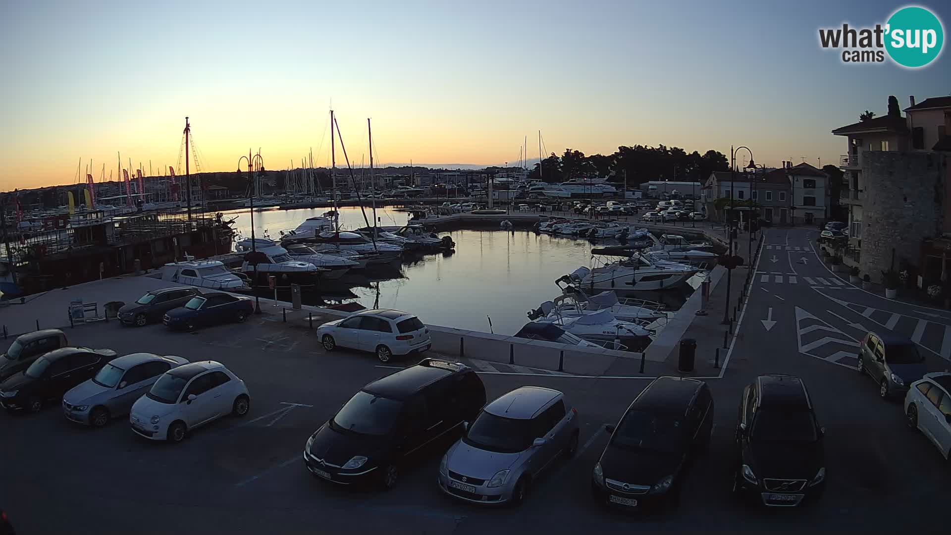 Novigrad | Porporela marina