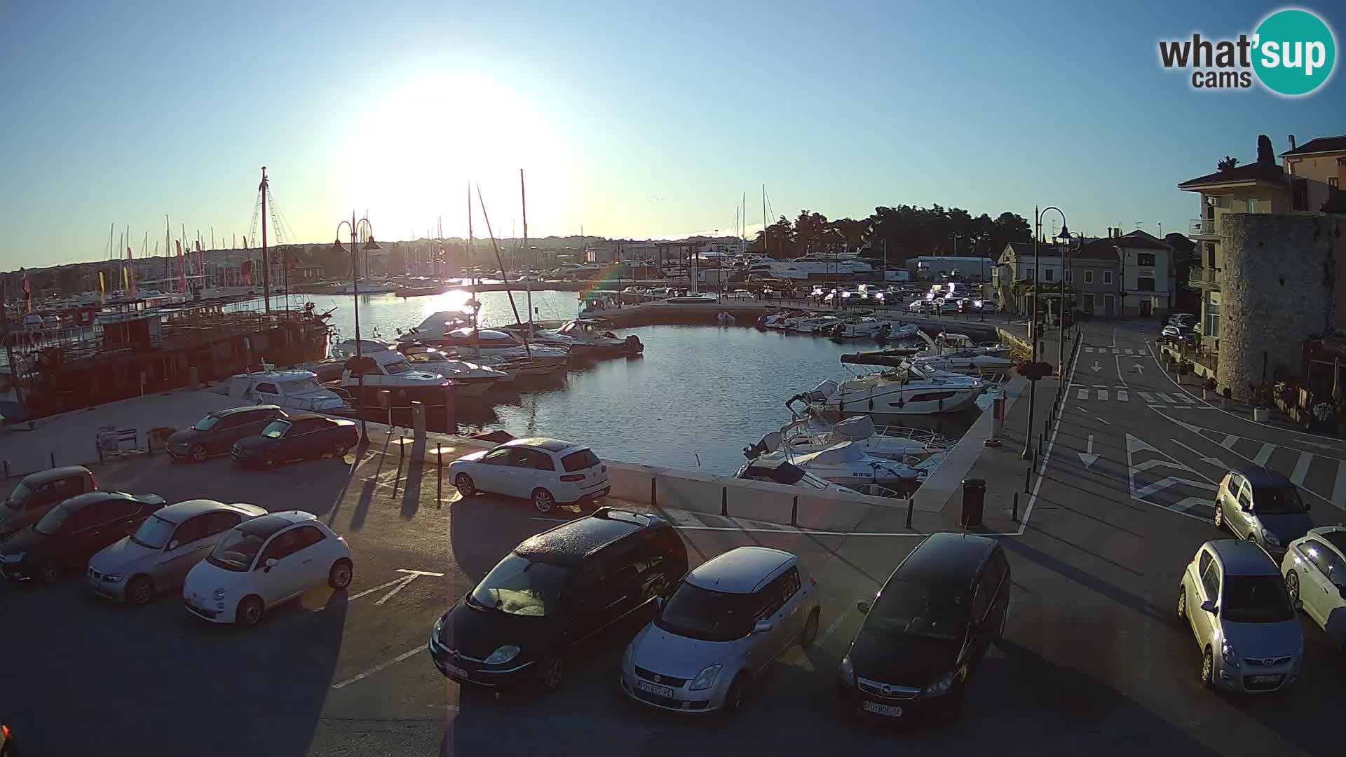 Novigrad | Porporela marina