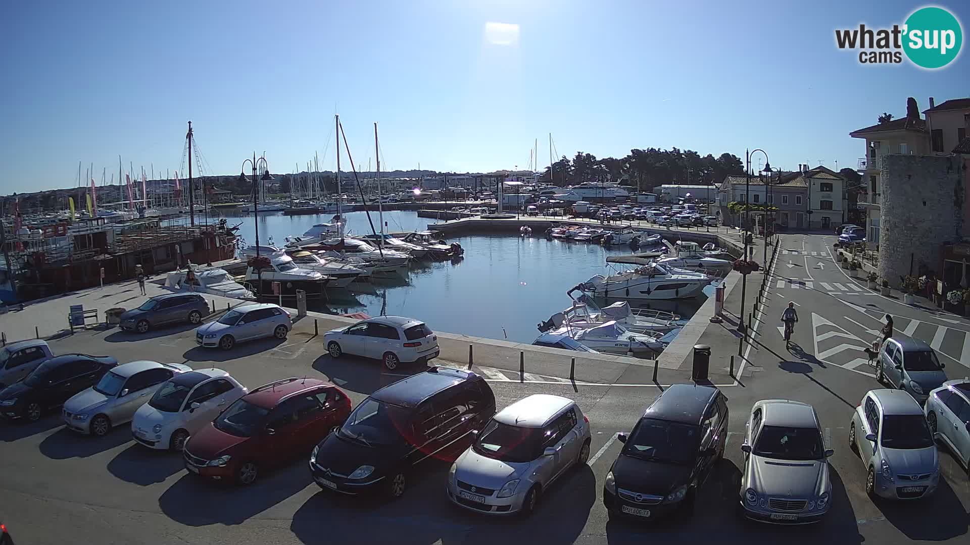 Novigrad | Porporela marina