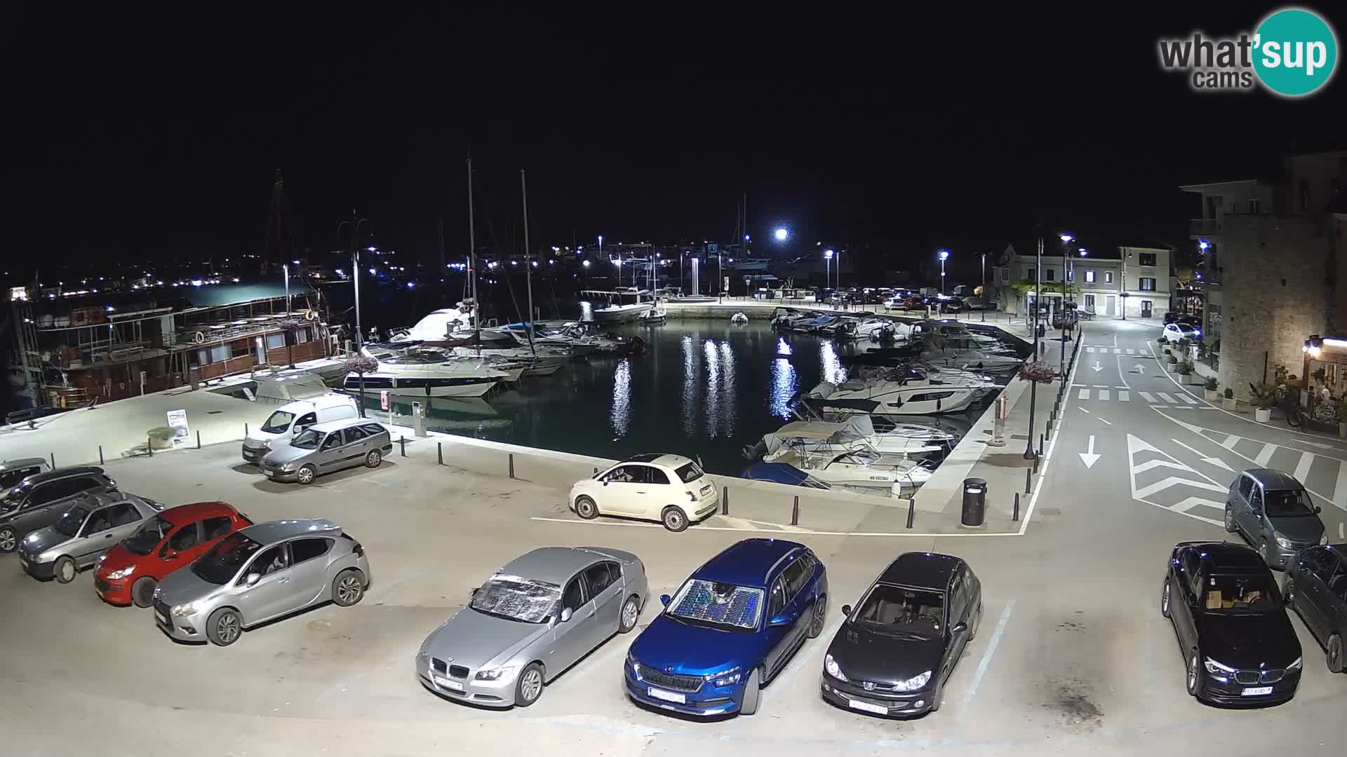 Novigrad | Porporela marina