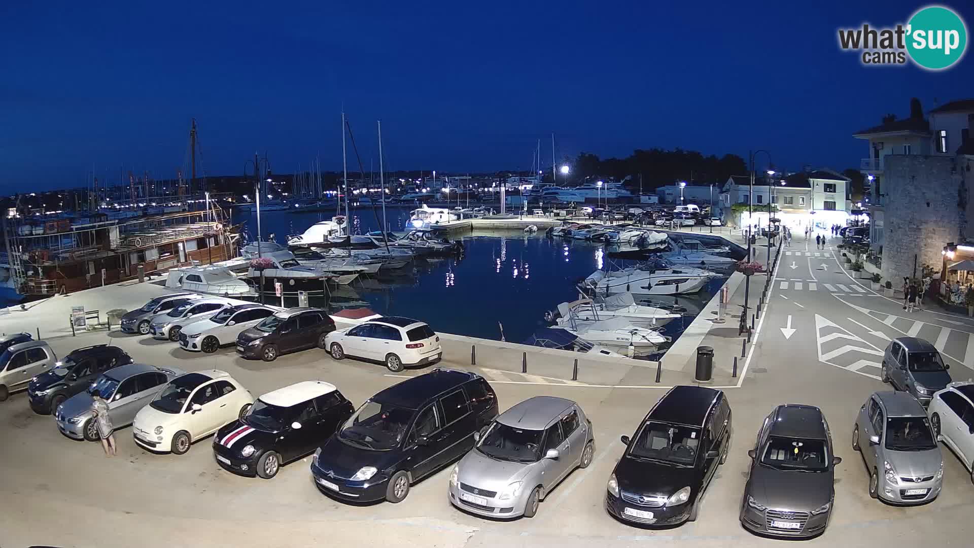 Novigrad | Porporela marina