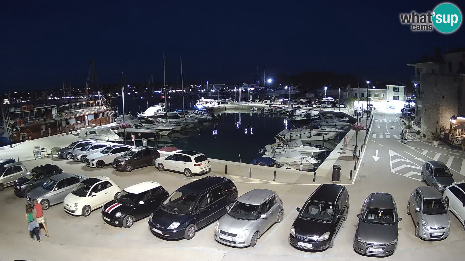 Novigrad | Porporela marina