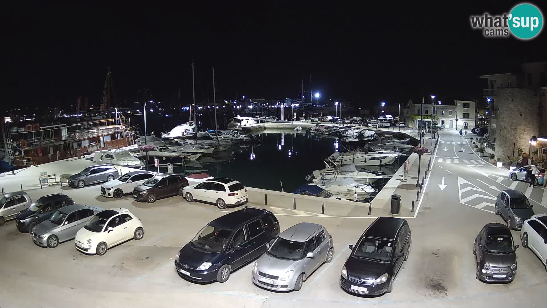 Novigrad | Porporela marina