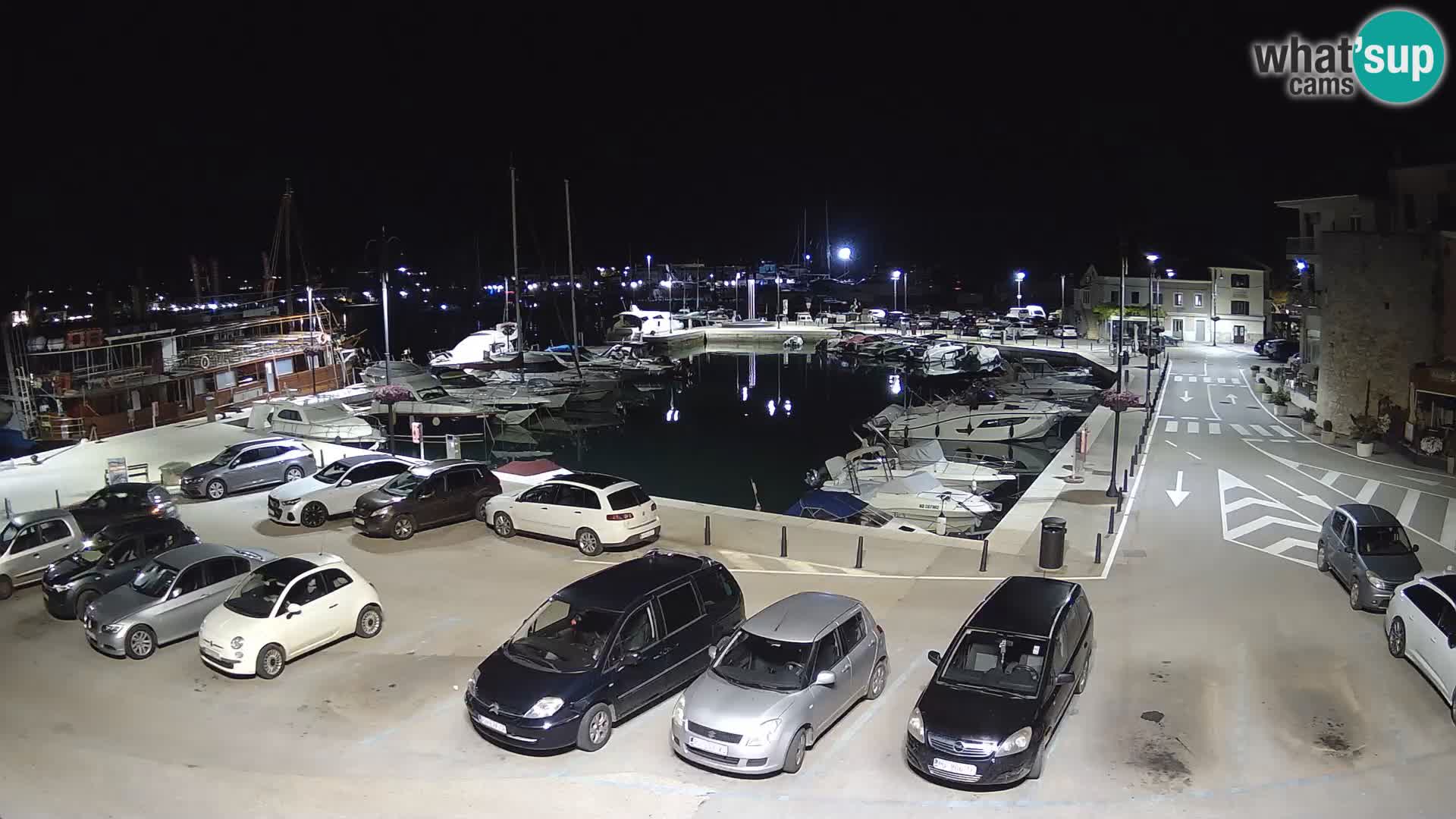 Novigrad | Porporela marina