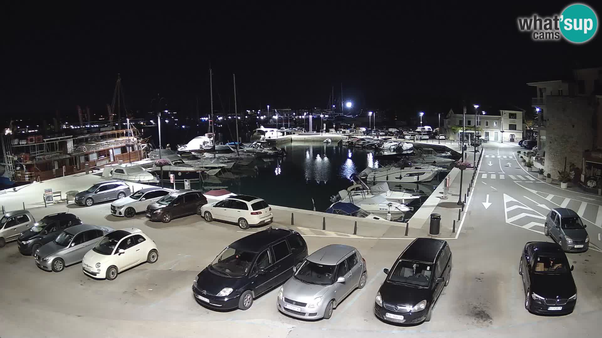 Novigrad | Porporela marina