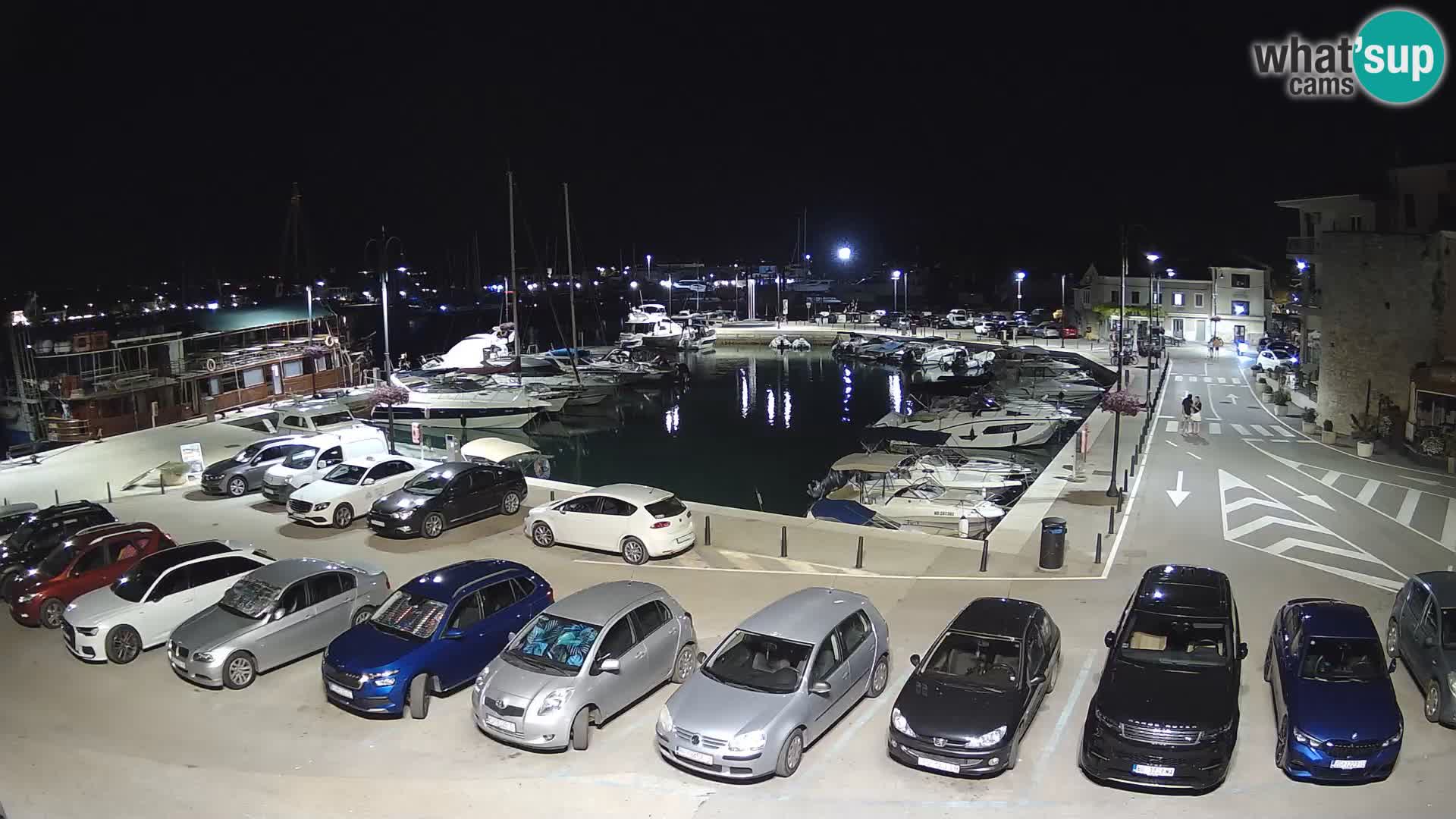 Novigrad | Porporela marina