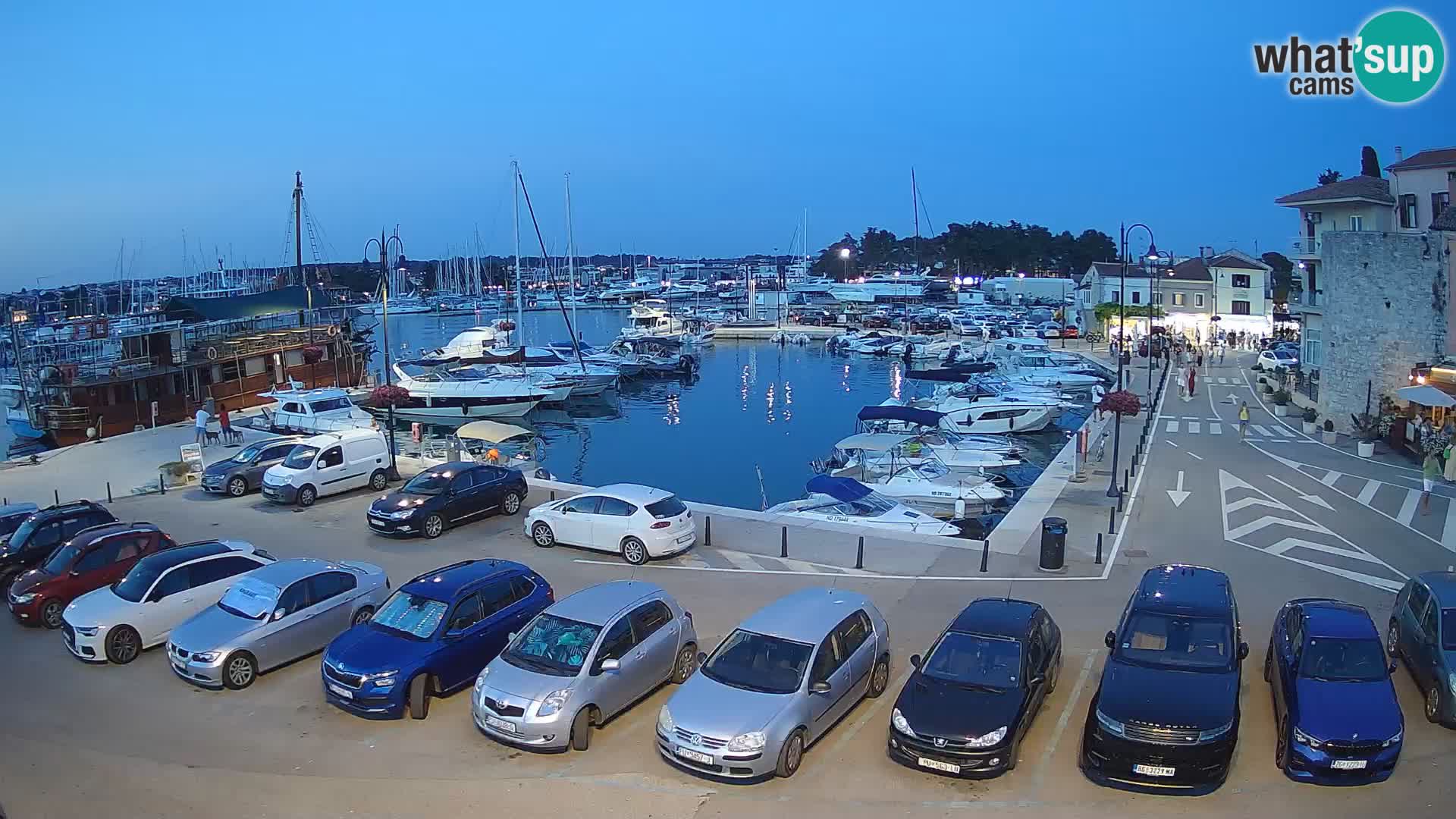 Novigrad | Porporela marina