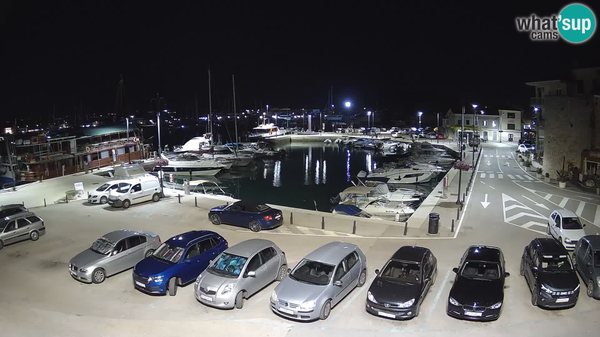 Novigrad | Porporela marina
