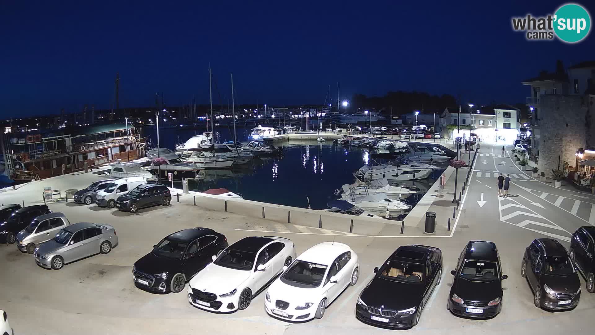Novigrad | Porporela marina