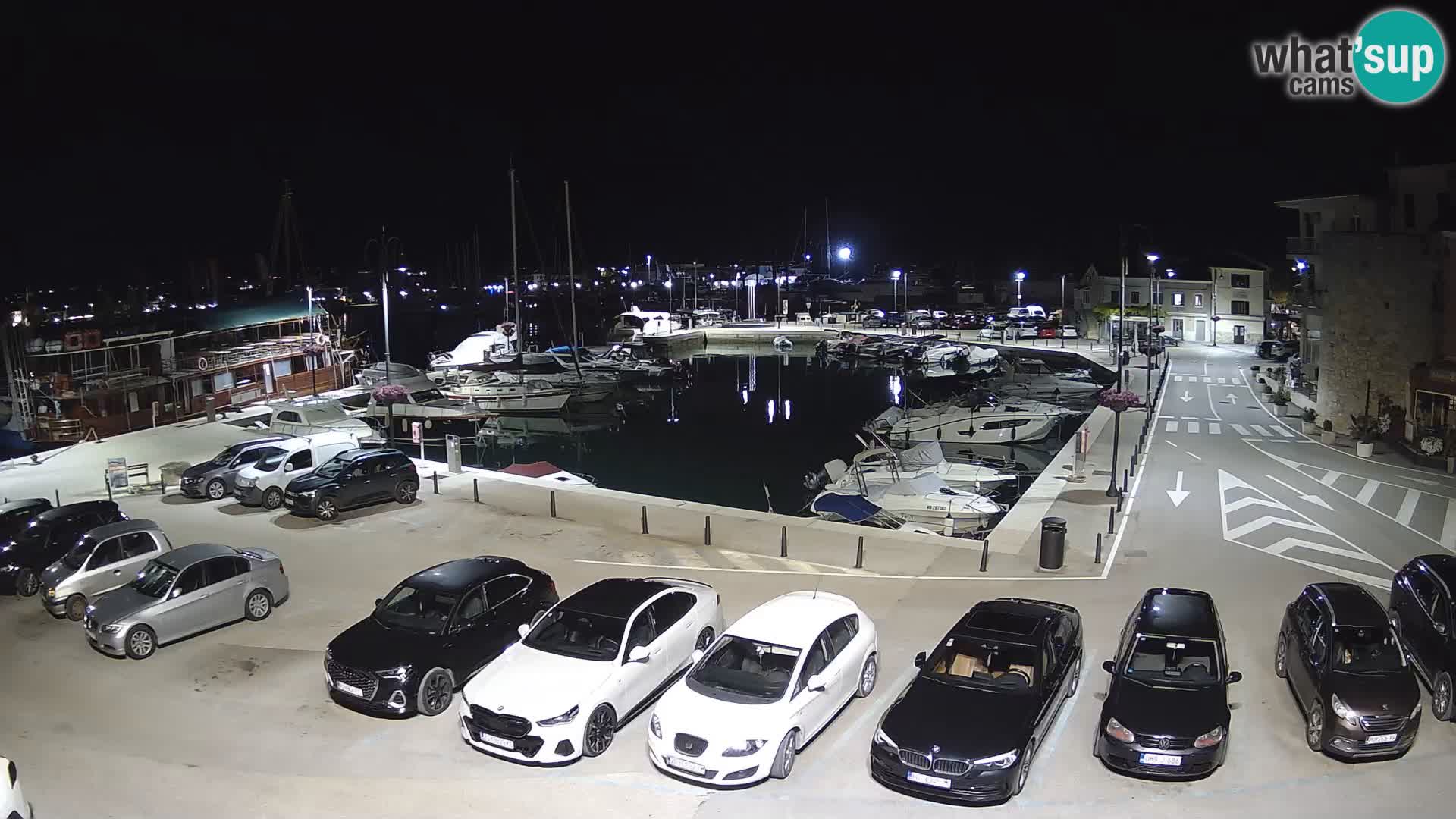 Novigrad | Porporela marina