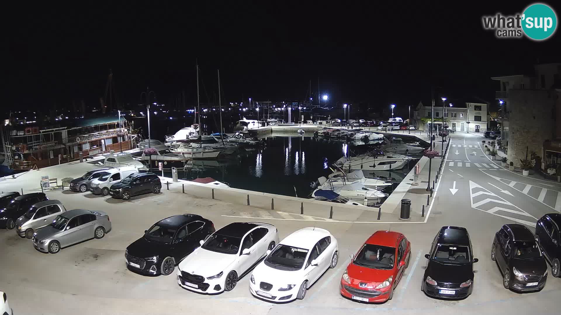 Novigrad | Porporela marina