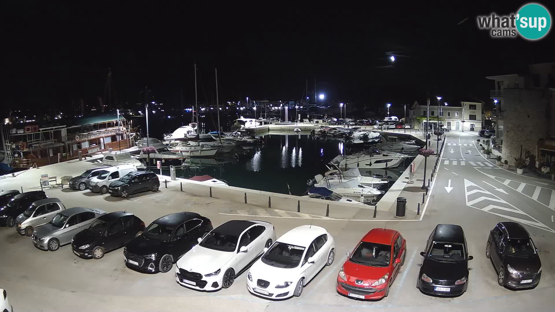 Novigrad | Porporela marina