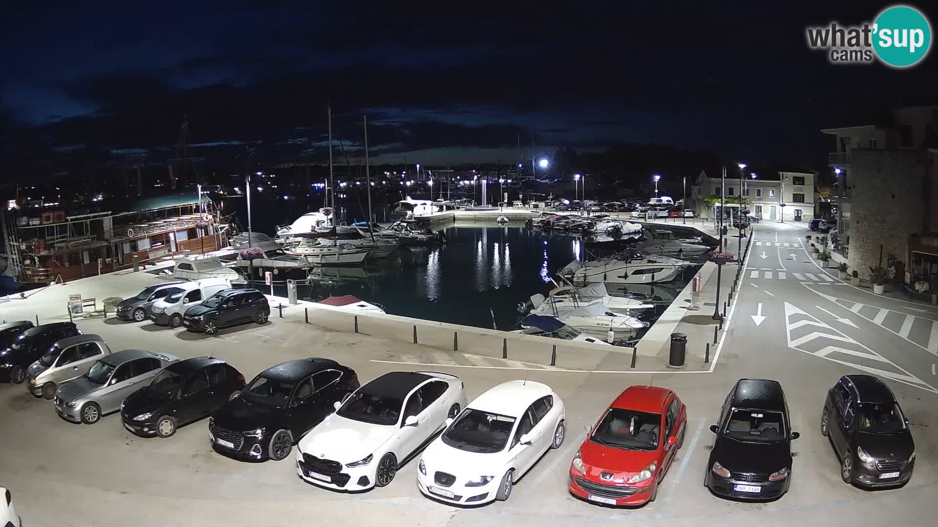 Novigrad | Porporela marina