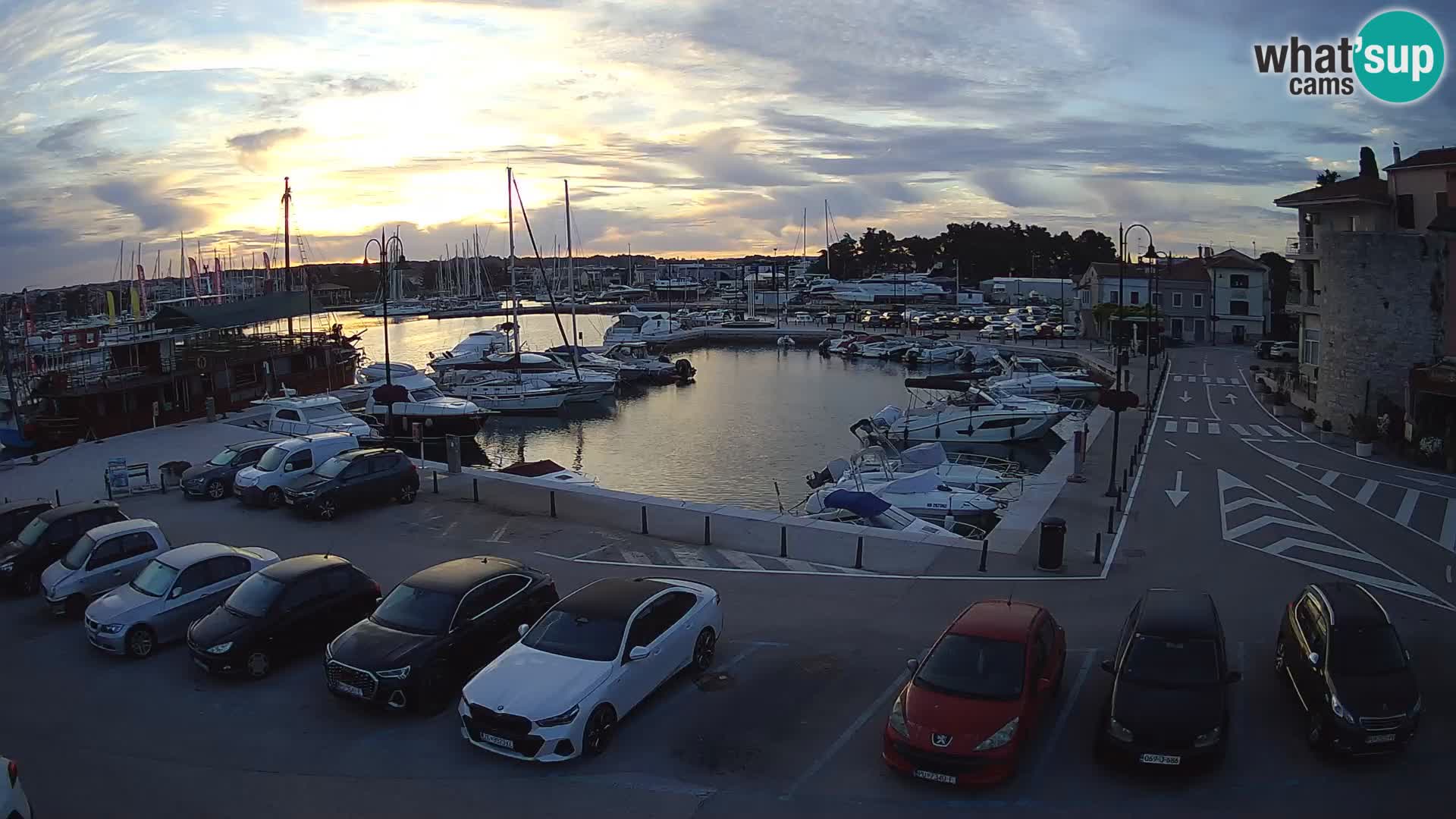Novigrad | Porporela marina