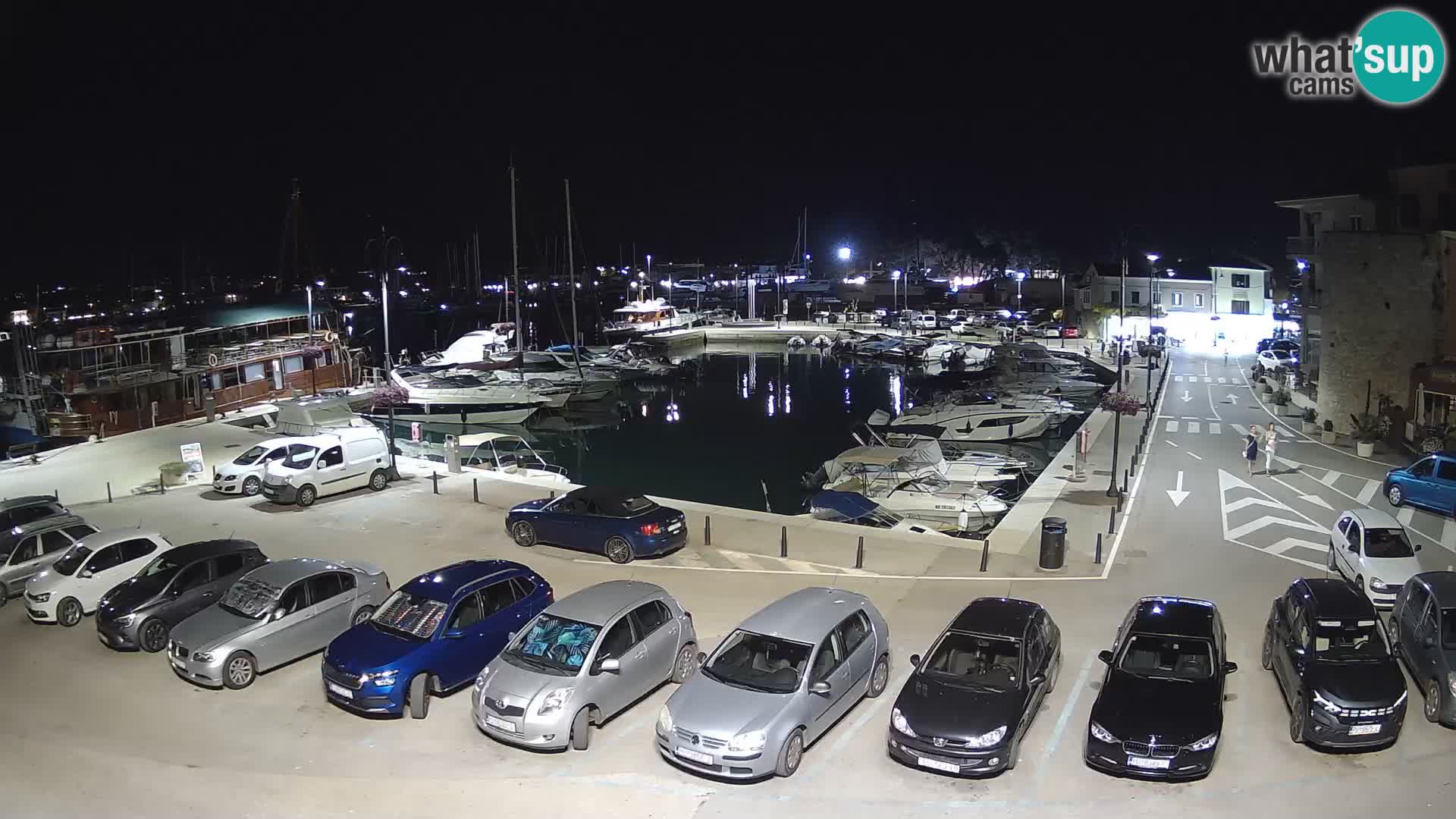 Novigrad | Porporela marina