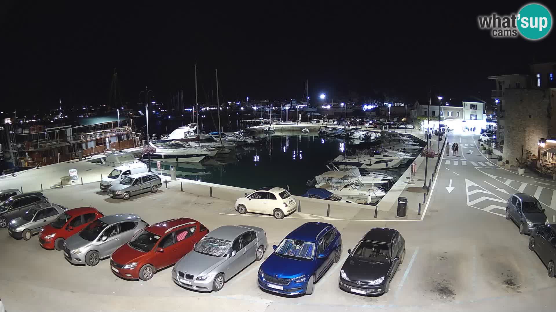 Novigrad | Porporela marina