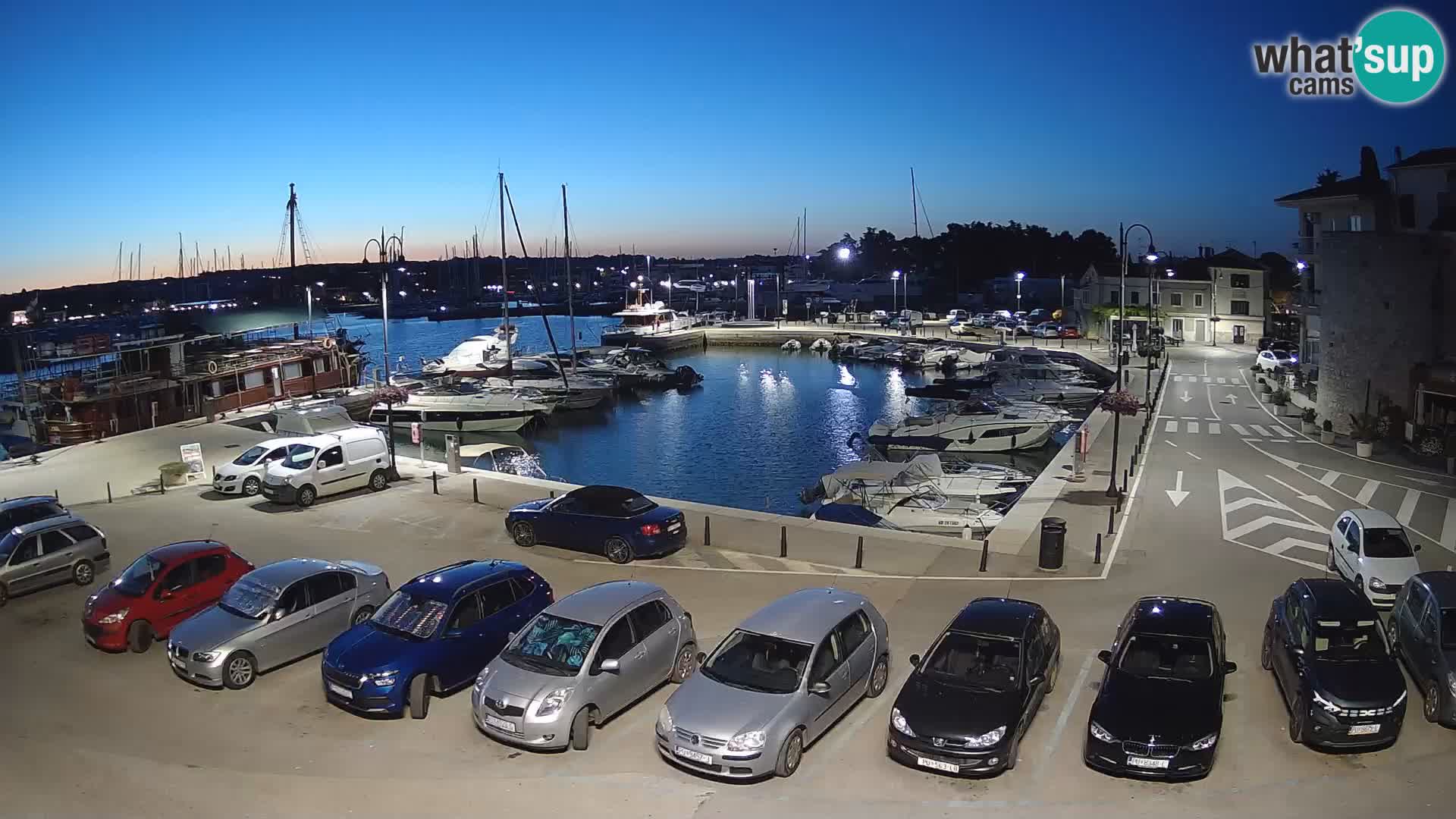 Novigrad | Porporela marina