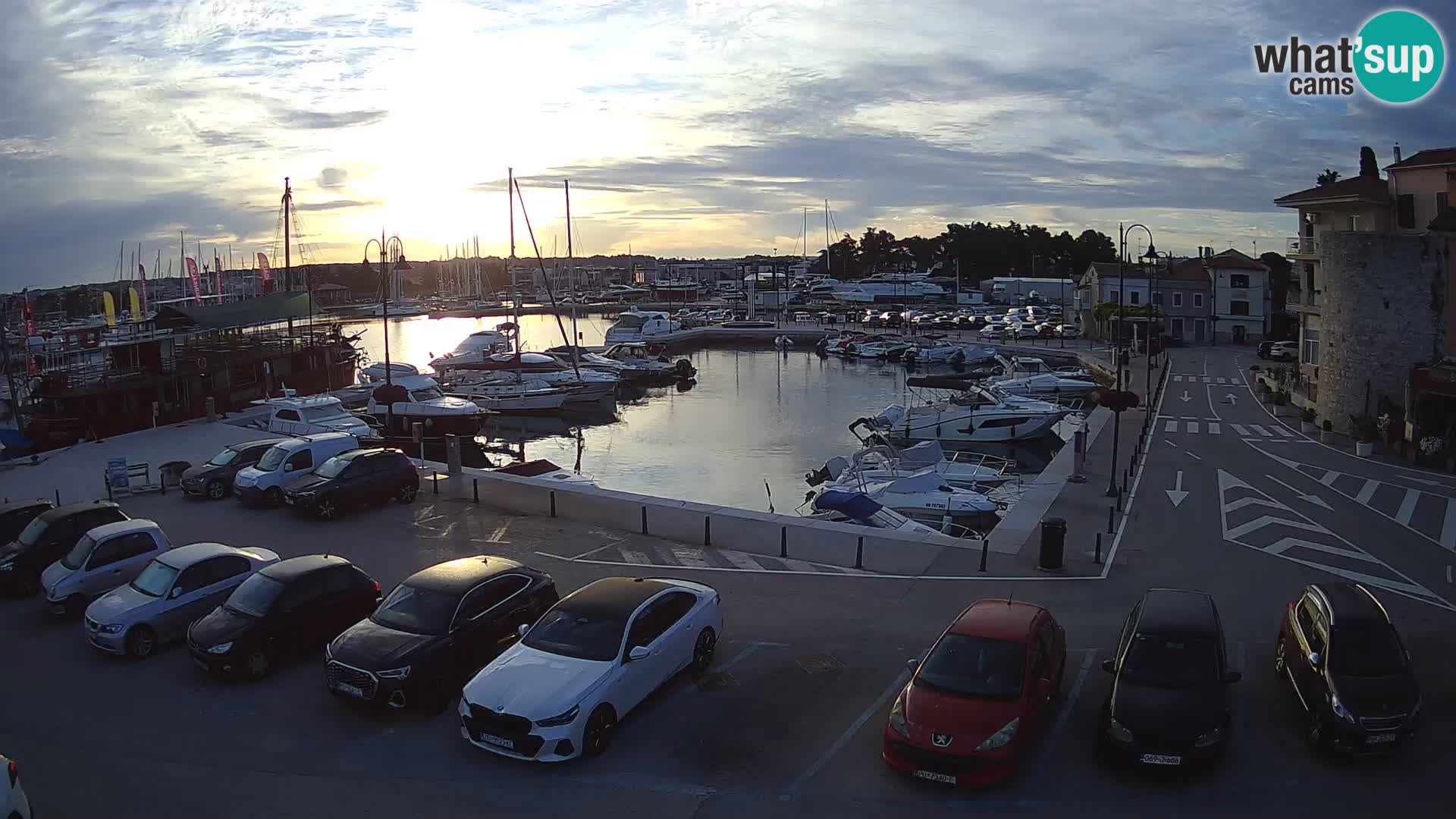 Novigrad | Porporela marina