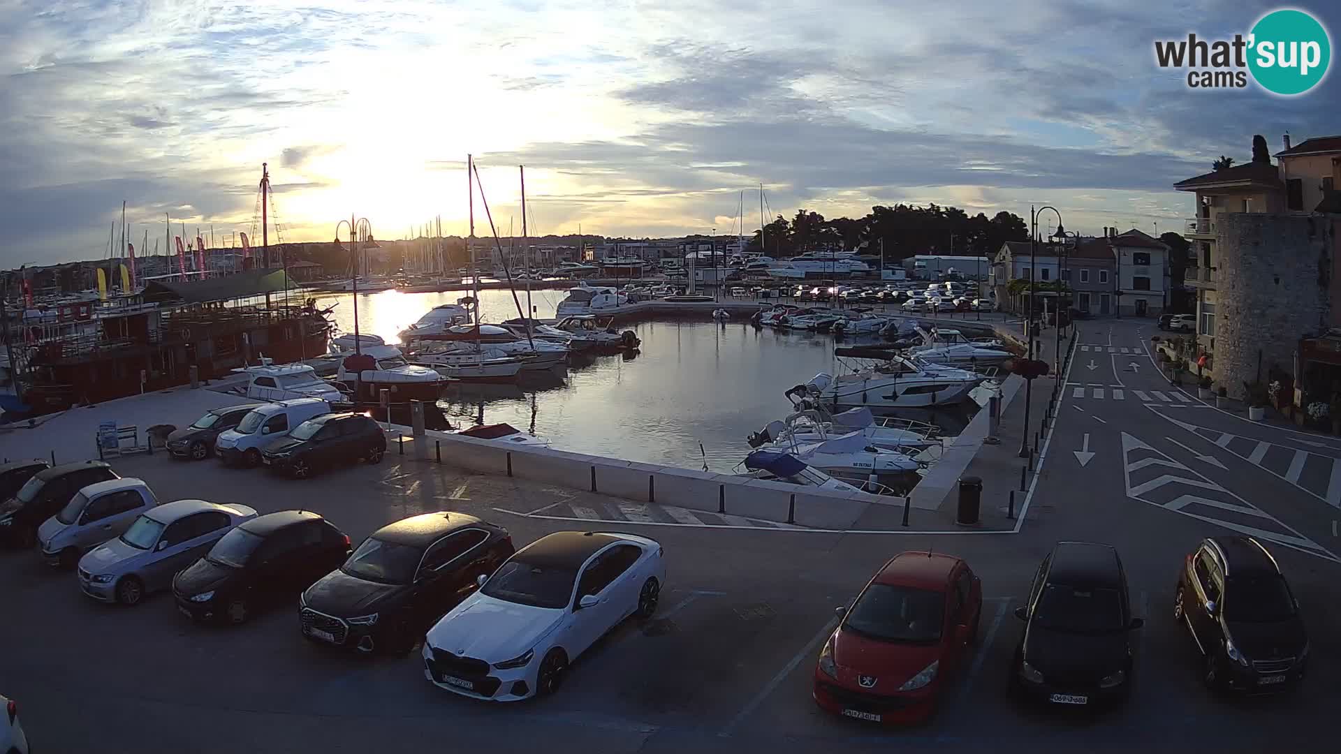 Novigrad | Porporela marina
