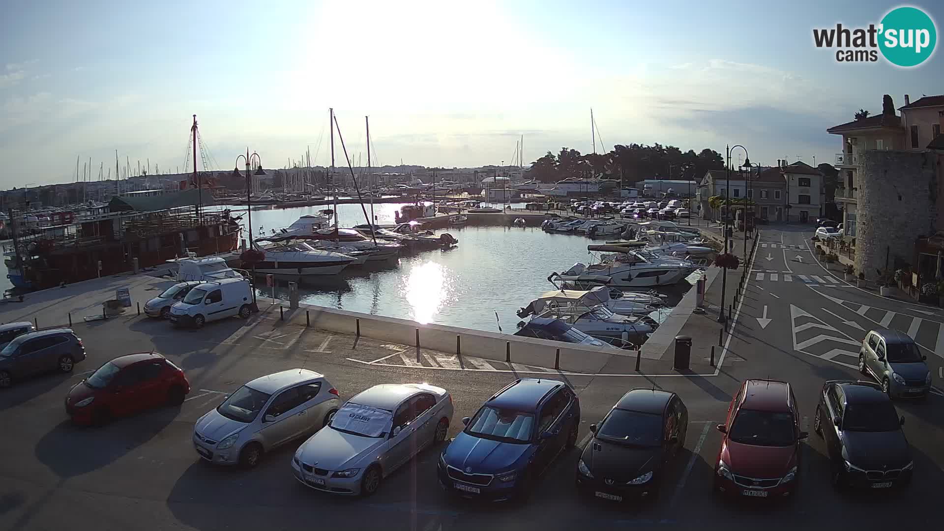 Novigrad | Porporela marina