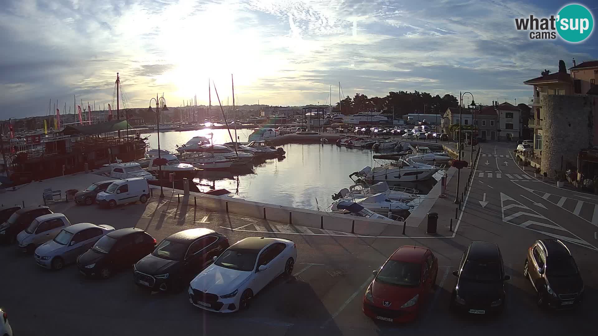 Novigrad | Porporela marina