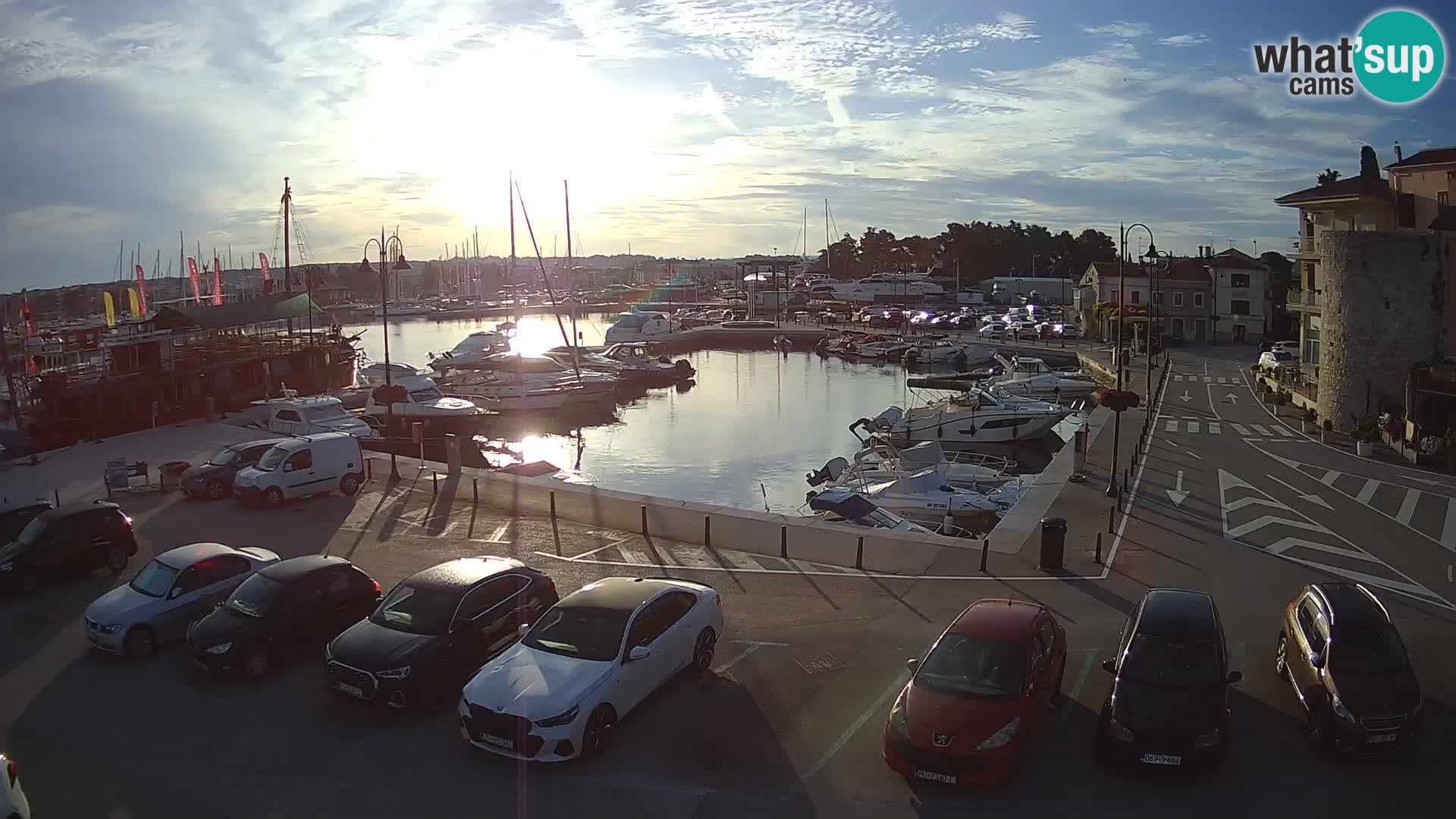 Novigrad | Porporela marina