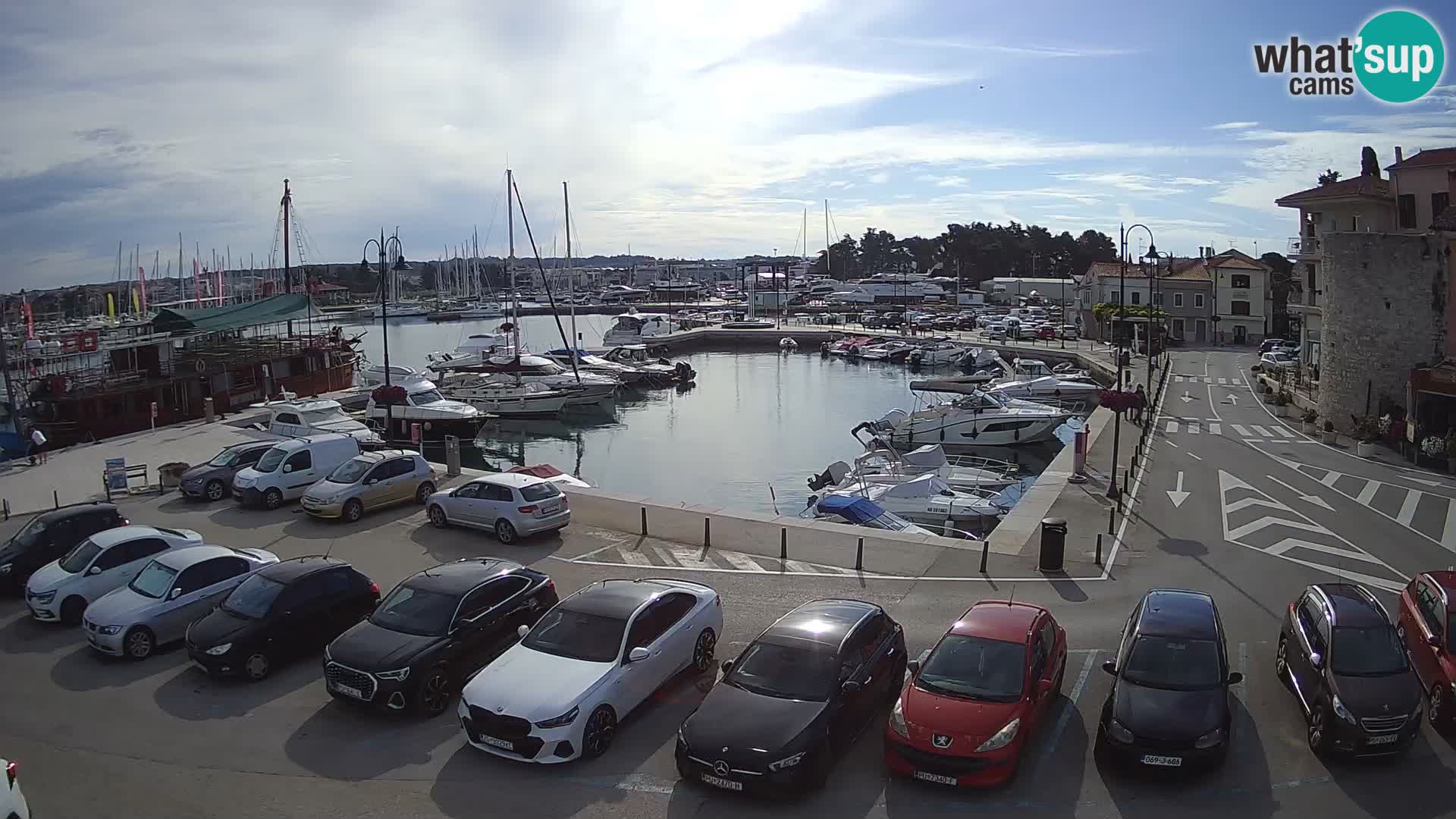 Novigrad | Porporela marina
