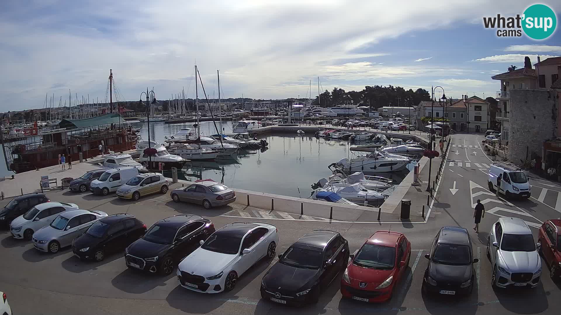 Novigrad | Porporela marina