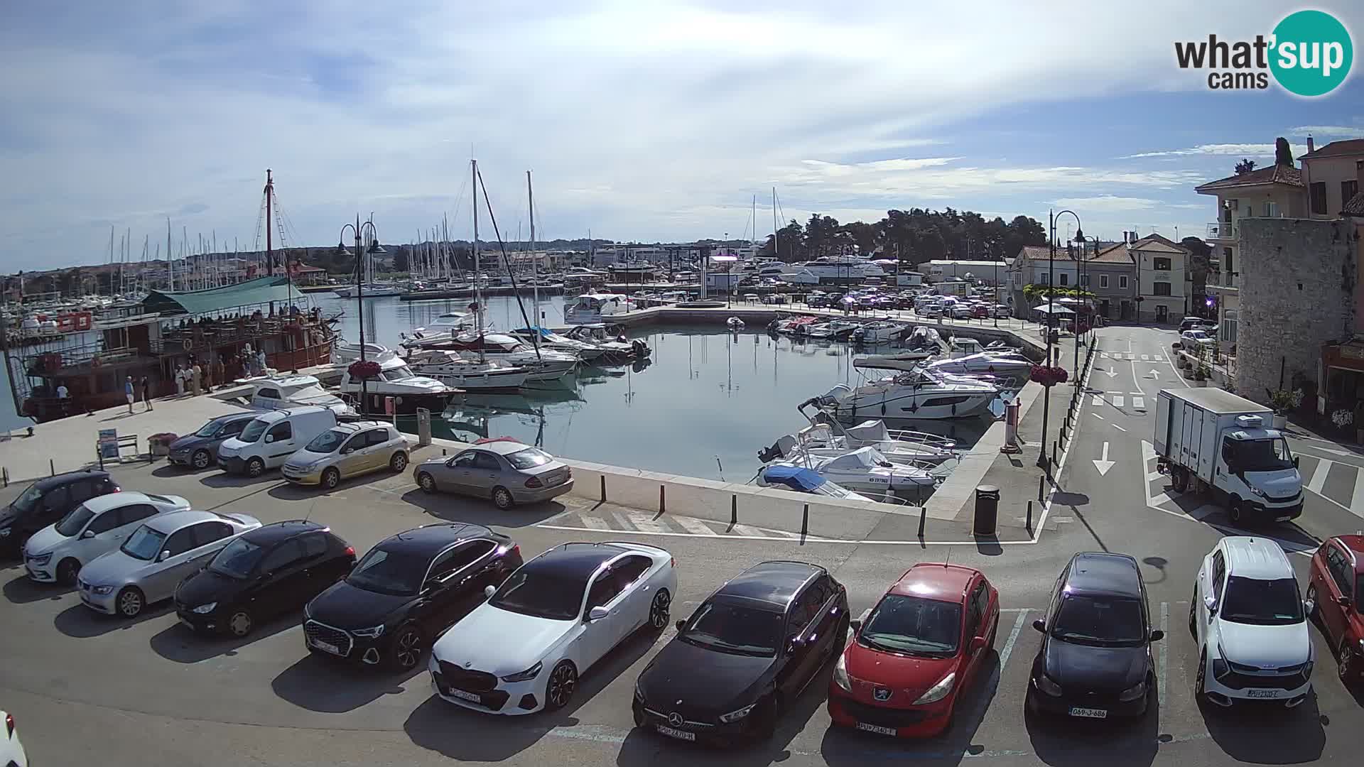 Novigrad | Porporela marina