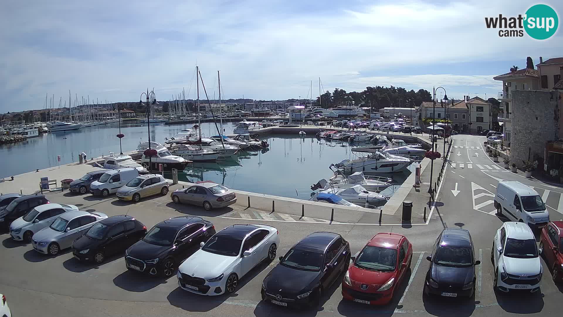 Novigrad | Porporela marina