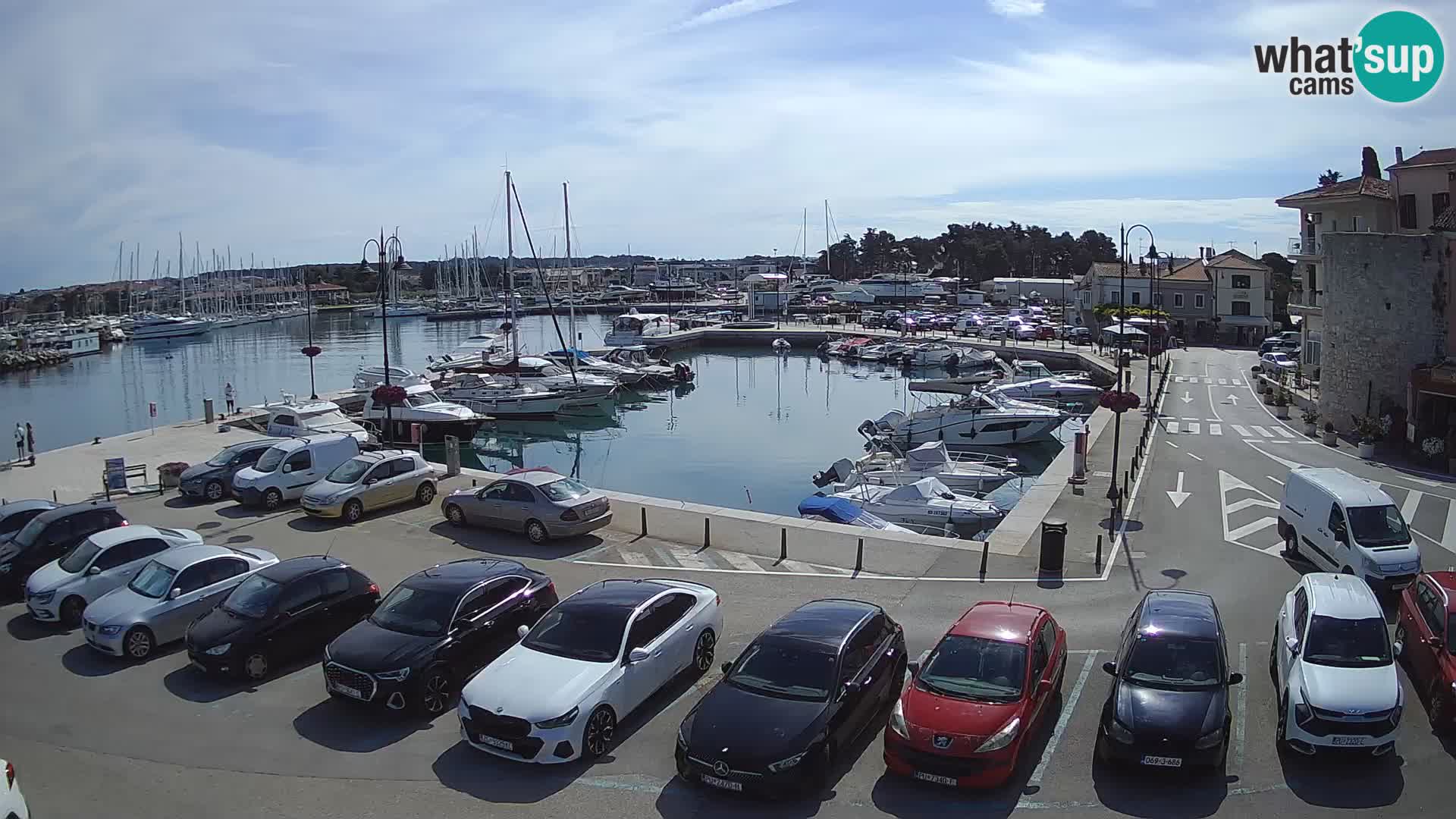 Novigrad | Porporela marina