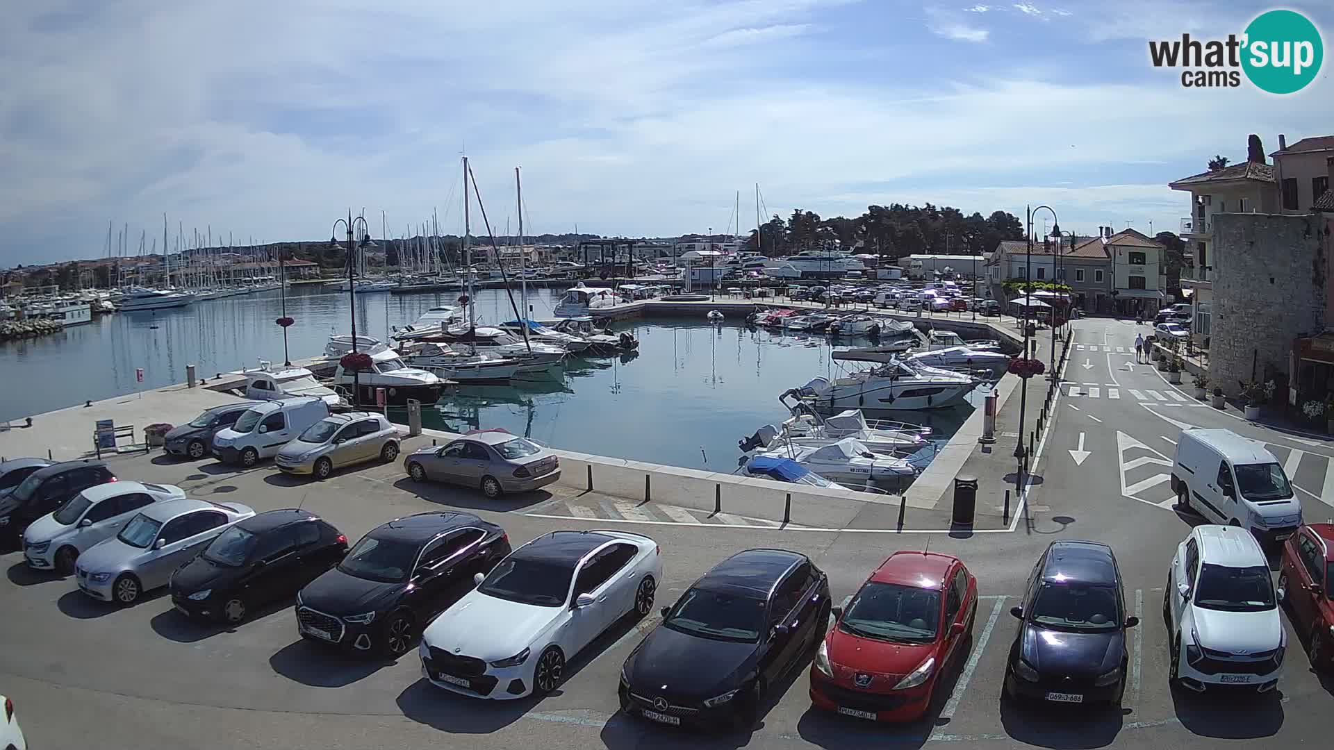 Novigrad | Porporela marina