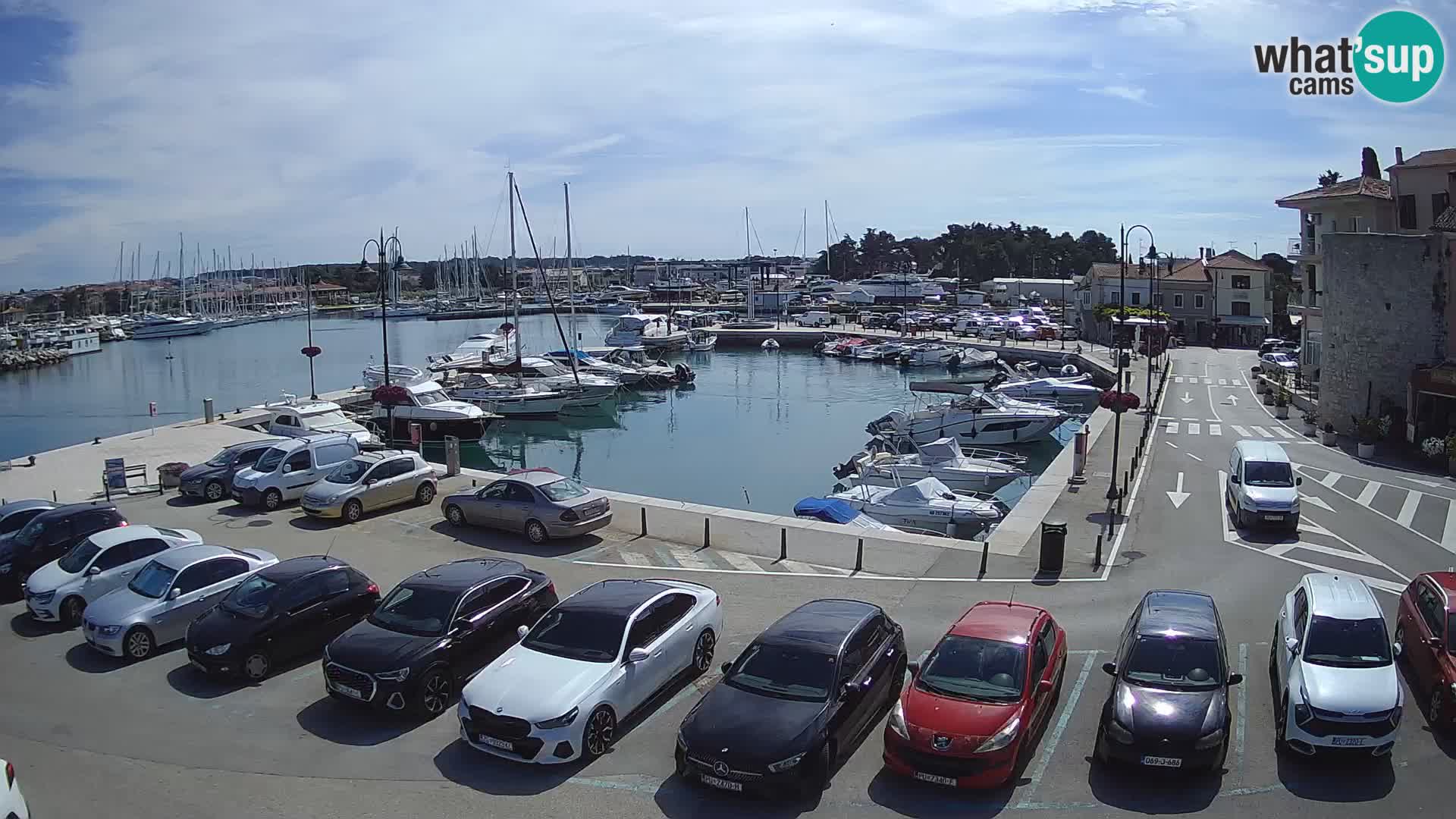 Novigrad | Porporela marina